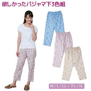 @100 pW}̉ [pc ~pW}̉ 3Fg-VRf 100% 10 XeeR [EFA  傫TCY