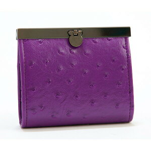 y݌ɌzI[Xgb` ^ ܌J[hP[X-20 |CgJ[h [  Wo e AR[fBI RpNg