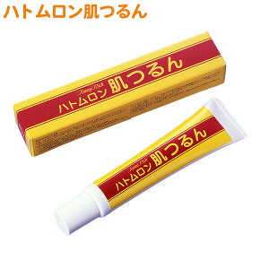 g~[b` ngp PA N[]NCj ngM ngGLX p ێ ωn iCgN[ WF  F r