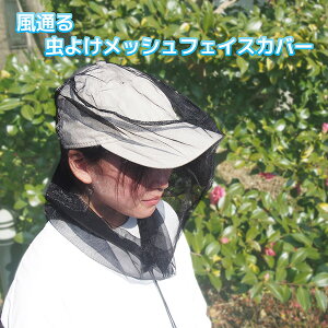  ʂ 悯 bV tFCXJo[] Ꮬ hlbg tFCXK[h AEghA K[fjO Lv ToCU[ lbg O ނ d _ d 