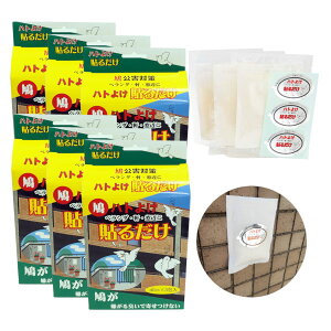 悯 ng悯\邾i40cc×3j6Zbg]Q΍ 悯΍  ΍   ng悯 ng ͂Ƃ悯 ͂Ə ng  ng ͂Ƒ΍ g[N  