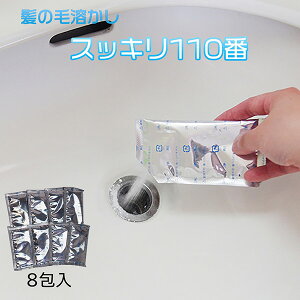  pCv ̖їn XbL110 8]fp401 zǗp ^Cv r r ʏ pCvl܂  | xmpbNX