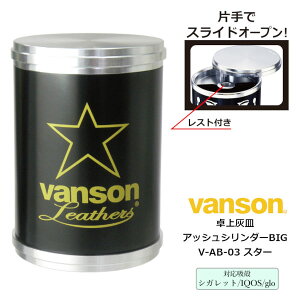 DM ԓDM vanson AbVV_[ rbO V-AB-03 X^[ o\ AbVV_[BIG yMC^[ ubN A~ y XCh ACRX ILUMA eA TEREA