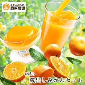 詰め合わせ みかん カンキツ 柑橘 ジュース ゼリー お試し 蔵出しみかん 下津みかん 和歌山 海南 下津 100% ストレート 熟成 ギフト 高級 温州みかん しもつみかん みかん お中元 父の日 プレゼント 贈り物 内祝 御礼 お見舞 家族 こども 敬老 職場 親戚 5000円以下 送料無料