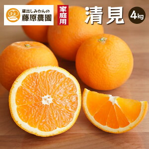 ��̓� �t���[�c �v���[���g �J���L�c �݂��� �ʕ� ���蕨 �M�t�g ���b�Z�[�W�J�[�h ���N ���� �����I�����W ���� ���Â݂��� �Y�n���� ������ �a�̎R�� �������� 4kg 4�� ���w�j �ސE�j 