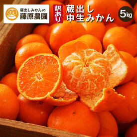 蔵出しみかん 中生みかん 下津みかん 産地直送 お取り寄せ 和歌山県 温州みかん 訳あり 家庭用 送料無料 5kg 1月 お年賀 御年賀 年明け 貯蔵 日本農業遺産 濃皮 海南市 下津町 蔵出し中生みかん 蔵出しみかんの藤原農園