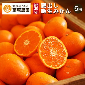 蔵出しみかん 【時期を選べる】 訳あり 家庭用 産地直送 お取り寄せ 箱買い 晩生 下津みかん しもつみかん 和歌山県 温州みかん みかん 送料無料 5kg 1月 2月 お年賀 御年賀 年明け 貯蔵 熟成 日本農業遺産 世界農業遺産 海南市 下津町 藤原農園 鉄腕ダッシュ 0円食堂