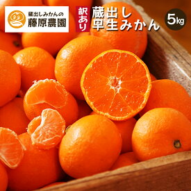 蔵出しみかん 早生みかん 下津みかん 産地直送 お取り寄せ 和歌山県 温州みかん 訳あり 家庭用 送料無料 5kg 1月 お年賀 御年賀 年明け 貯蔵 日本農業遺産 濃厚 薄皮 海南市 下津町 蔵出し早生みかん 蔵出しみかんの藤原農園