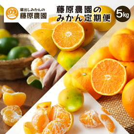 みかん サブスク 5kg 定期便 頒布会 旬 カンキツ 産地直送 家庭用 和歌山県 海南市 下津 蜜柑 フルーツ 果物 農家 直売 送料無料
