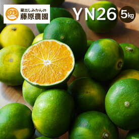 YN26 みかん 産地直送 和歌山県 新品種 温州みかん 下津みかん 訳あり 送料無料 5kg 家庭用 9月 爽やか 海南市 下津町 和歌山県限定品種 蔵出しみかんの藤原農園