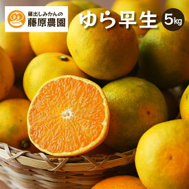 ゆら早生 みかん 産地直送 和歌山県 温州みかん 下津みかん 訳あり 送料無料 5kg 家庭用 10月 爽やか 濃厚 海南市 下津町 極早生 蔵出しみかんの藤原農園