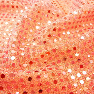 y݌ɌŏIzCgsÑXpR[() 2023