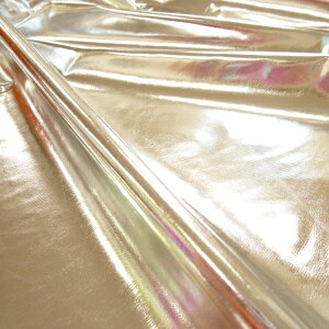 LL~[Xgb`niVo[j VY Xe[W ߑ y10cmPʁz