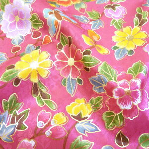 ݌ɌIIԕ ؕn@sNy10cmPʁz