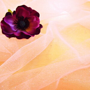 yēׁz`[ n@xr[sN@i50cmPʁj