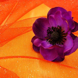 yēׁz`[ n@bh (50cmP)