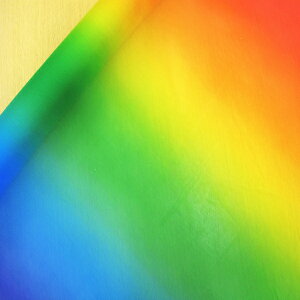 C{[ VtH n y50cmPʁz Jt F z