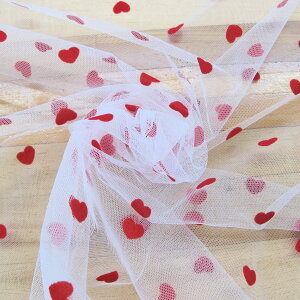 n[g tbL[ `[ n y{[^[^Cvzi50cmPʁj