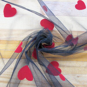 n[g tbL[ `[ n y_͗l^Cvzi50cmPʁj