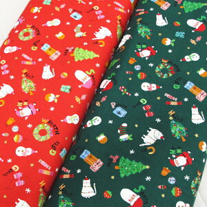 NX}XXPA n T^N[X c[ i50cmPʁj