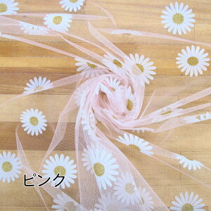 yS4FzfCW[ tbL[ vg `[ ni50cmPʁj