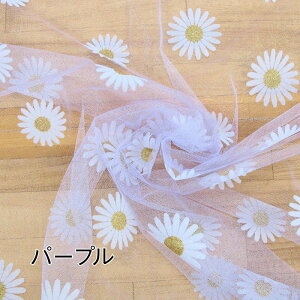 yS4FzfCW[ tbL[ vg `[ ni50cmPʁj