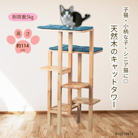 天然木 キャットタワー 省スペース ディスプレイラック 木製 おしゃれ ナチュラル 北欧風