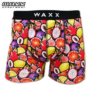 WAXX ���b�N�X �{�N�T�[�p���c EXOTIC FRUITS �G�L�]�`�b�N�t���[�c 11390 �����Y