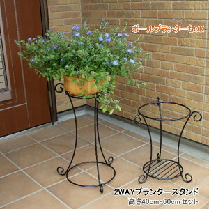 y12H聚P3{zt[X^h ֐   ԑ t[bN O x_ ی^ ~` ~^ 2i Kтɂ ACA v^[X^h v^[  X^h {[