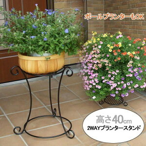 y12H聚P3{zt[X^h ֐   ԑ t[bN O x_ ی^ ~` ~^ 2i Kтɂ ACA v^[X^h v^[  X^h {[