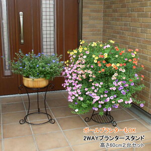 y12H聚P3{zt[X^h ֐   ԑ t[bN O x_ ی^ ~` ~^ 2i Kтɂ ACA v^[X^h v^[  X^h {[