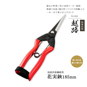 y12H聚P3{zyr[TtznnT~ n ؂  n oT~ ʎ Ԏ ʎ |   { O 185mmi[֑ΉEΏەîݓj