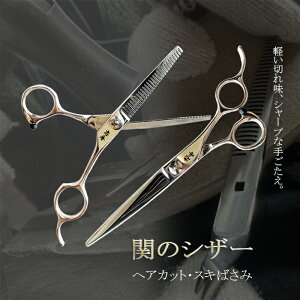 y12H聚P3{zUZbg UnT~ oT~ ZjO { UpnT~ wAJbgnT~ U VU[ U΂ e e Zt v i[֑Ήj