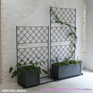 y12H聚P3{zK[ftFX EH[tFX  tFX gX ACA eBX ډB d؂肨 K[fjO GNXeA  U 142E192cm Zbg  ubN