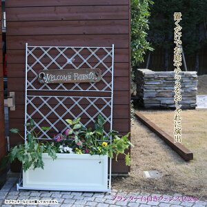 y12H聚P3{zK[ftFX EH[tFX  tFX gX ACA eBX ډB d؂肨 K[fjO GNXeA  U 142cm 