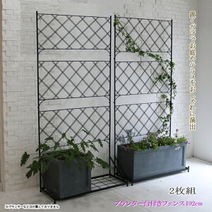 y12H聚P3{zK[ftFX EH[tFX  tFX gX ACA eBX ډB d؂肨 K[fjO GNXeA  U 192cm  ubN 2g