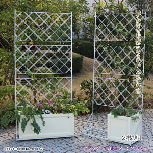 y12H聚P3{zK[ftFX EH[tFX  tFX gX ACA eBX ډB d؂肨 K[fjO GNXeA  U 192cm  zCg 2g