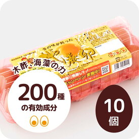 地養卵 10個入り 茨城県産 朝採れ 農場直送 MSサイズ～LLサイズ 生食用 赤玉 産みたて 高級 新鮮 玉子 濃厚 卵黄 黄身鶏卵 卵 卵かけご飯 栄養 ビタミンE 家庭用 自宅用 業務用 まとめ買い ギフト プレゼント 贈り物 懐かしの 懐かしい 臭みが無い 昔ながら