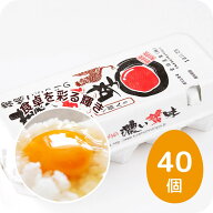 農場こだわりの濃い黄味 40個入り 茨城県産 生食用 赤玉 MSサイズ～LLサイズ 農場直送 朝採れ 産みたて …