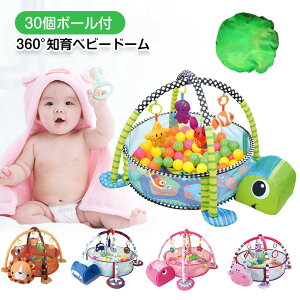 30個ボール付 360°知育ベビードーム おすすめ 誕生日プレゼント 知育 おもちゃ 赤ちゃん ベビージム プレイジム プレイマット 誕生日プレゼント 男の子 男 女の子 女 出産祝い 0歳 1歳 乳幼児