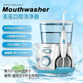電動歯間ブラシ歯周病防止プラーク除去 虫歯 敬老の日 臭 虫歯 矯正 ケア 歯間ブラシ口腔洗浄器 ジェットウォッシャー高圧洗浄機 歯茎 歯ブラシウォッシャー口腔洗浄器 口腔洗浄機口内洗浄 水流モード 替えノズル4本マウスウォッシャー歯磨 プレゼント