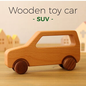 y؂̂ ]SUV]z؂̂    ؐ { Mtg 蕨 v[g oYj j̎q VR S S Ricod