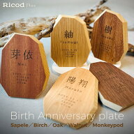 命名書 【生誕記念プレート Ricod Plus】 出産祝い ギフト 赤ちゃん ベビー 木製 名入れ ベビーボード メ…