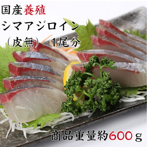 魚 刺身 盛り付けの人気商品 通販 価格比較 価格 Com