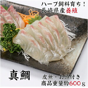 yΕz ^ }_C hgp hg  {B^ il^ }_CO   ^C ^n[ud Mtg 蕨 Yn  Ε Mtg v[g 蕨