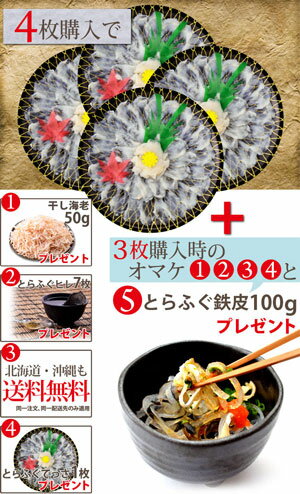 てっさ★漁師の本場のとらふぐ刺し★【送料無料】高級ふぐ刺身2人前/国産活〆とらふぐてっさ2人前今なら≪2つ以上でおまけ付き≫[ふぐとらふぐふぐ刺しふぐセットフグプレゼント河豚刺身お祝い内祝てっちりてっさ