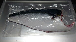 オリーブハマチ【CAS冷凍】カマ付き はまち 活け〆オリーブハマチ《半身1枚》 フィレ 香川ブランド魚 下処理 半身販売 ギフト 自宅用 原体サイズ約4キロ半身 お歳暮 お中元 お土産 名産 人