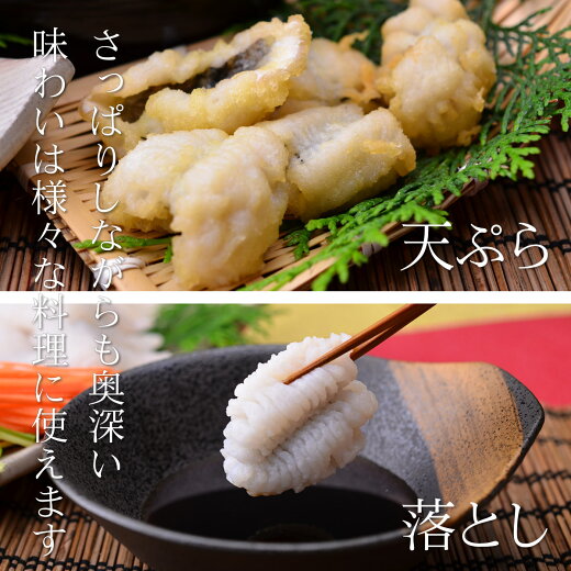 天然活け〆鱧(はも)【送料無料】一度も凍らせない完全冷蔵なので、美味しさが違います!贈り物にも人気◇はも骨切り(250g)2人用◇(クール冷蔵便)