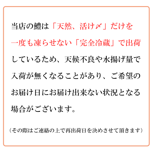 天然活け〆鱧(はも)【送料無料】一度も凍らせない完全冷蔵なので、美味しさが違います!贈り物にも人気◇はも骨切り(250g)2人用◇(クール冷蔵便)