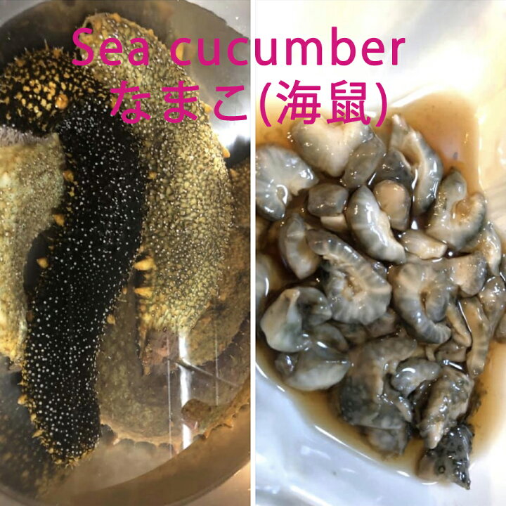 楽天市場 ナマコ 赤なまこ 8 10人前 1kg 4 7個 送料無料 業務用 香川県産ナマコの中で一番美味しい アカナマコ ご注文後 水揚げ次第発送 なまこ このわた なまこ酢 海鼠 瀬戸内漁師の海鮮問屋
